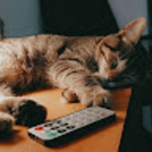 Meet your Posher, Nevaeh